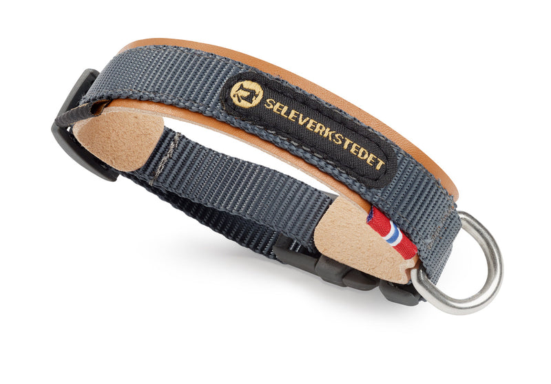 Secure Dog Collar