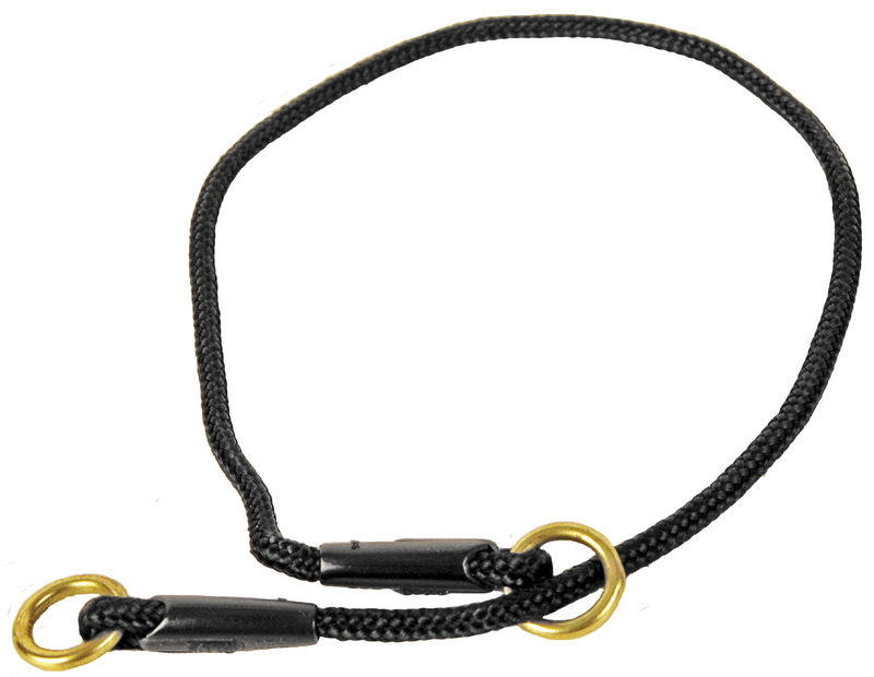 Training Collar