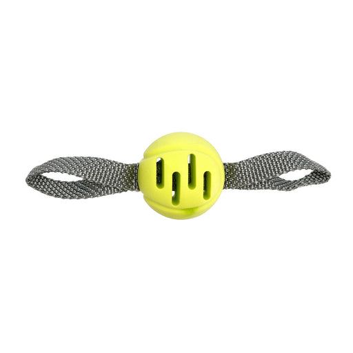 Leksak Fetchball Grön