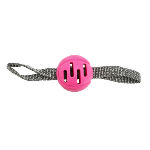 Leksak Fetchball Rosa