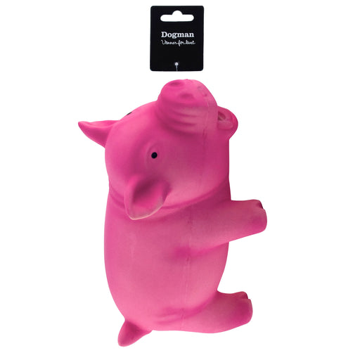 Latexgris Hundleksak