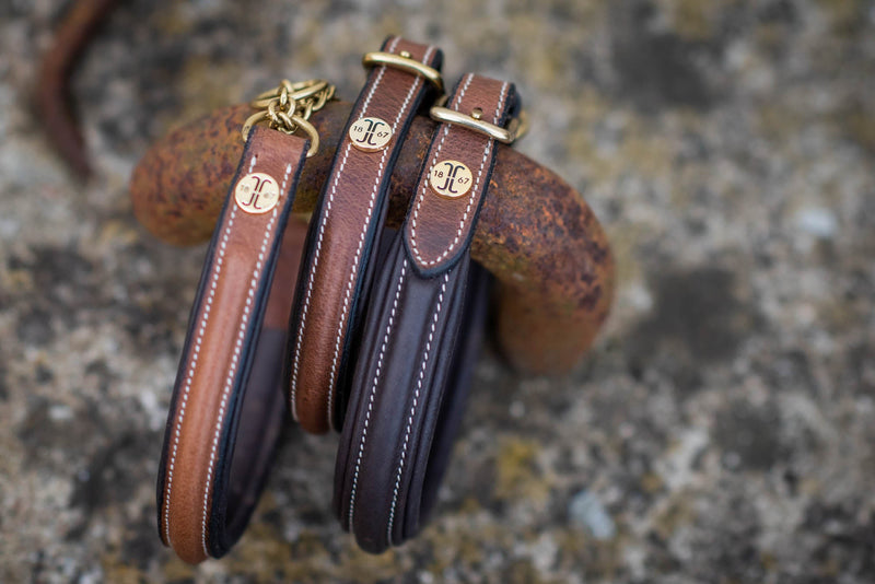Jacson London Hundhalsband