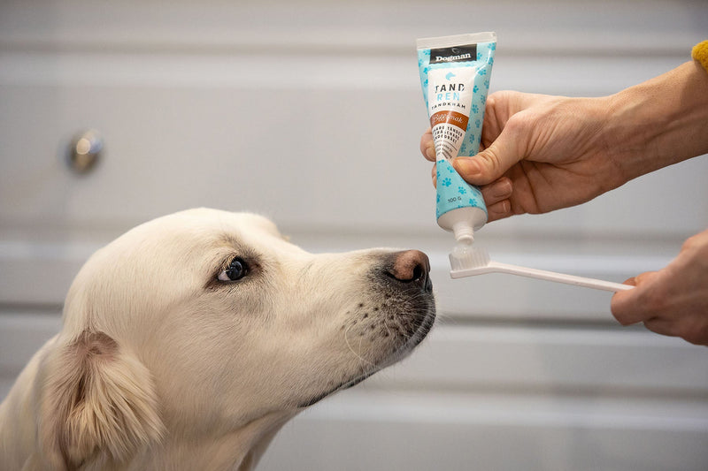 Dogman Tandkräm Biff 100g