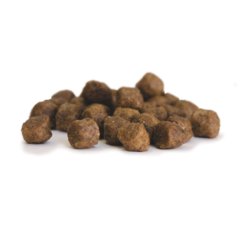 Harmony Puppy 10kg