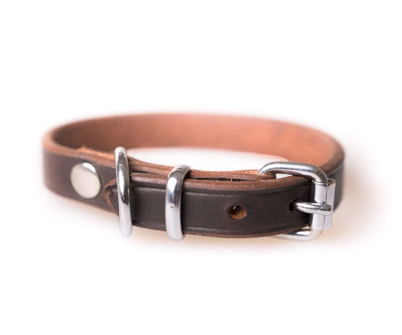 Active Canis Leather Collar, 1,2×35 cm Brown