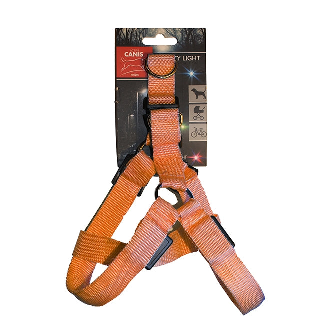 Led light Pet Harness S Orange