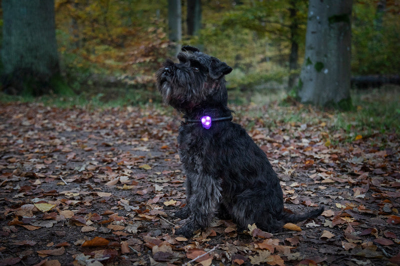 Blinklampa Basic LED Grå